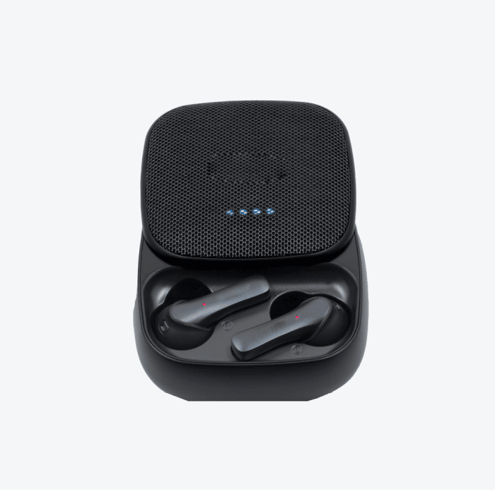 Case Airpods