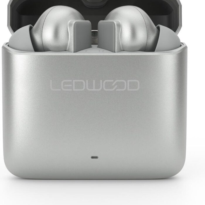 LEDWOOD LD-S20-SIL - TITAN S20 TWS in-ear earphones met metallic oplaadcase, zilver