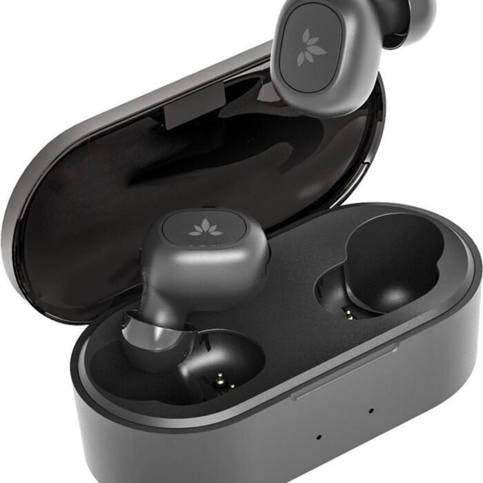 avantree - TWS115 - Apico Dual - Bluetooth 5.0 True Wireless Stereo Earphones, Extended Playtime