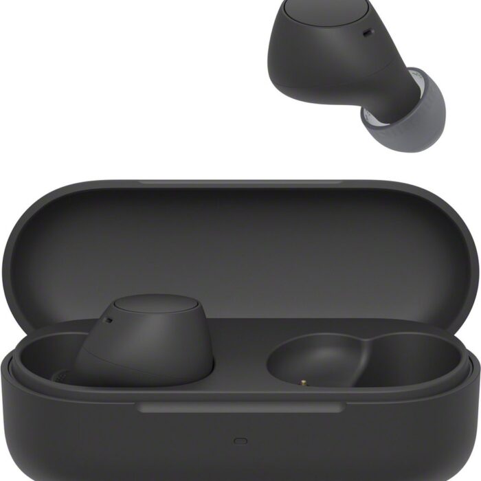 Sony WF-C510 – Draadloze oordopjes - Zwart