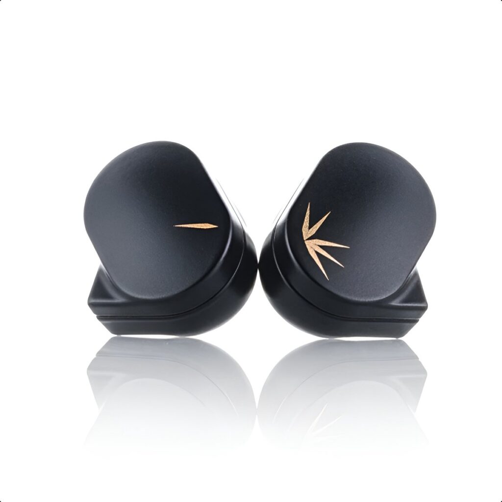 Moondrop Chu 2 - In Ear Monitor - IEM - Dynamische Driver - Verwisselbare Kabel - Audiofiele Geluidskwaliteit - Met Siliconen Ear Tips - Zwart