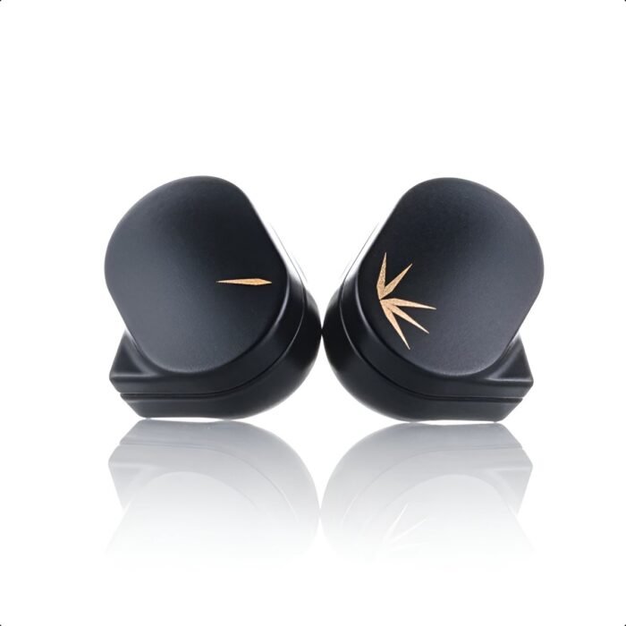 Moondrop Chu 2 - In Ear Monitor - IEM - Dynamische Driver - Verwisselbare Kabel - Audiofiele Geluidskwaliteit - Met Siliconen Ear Tips - Zwart