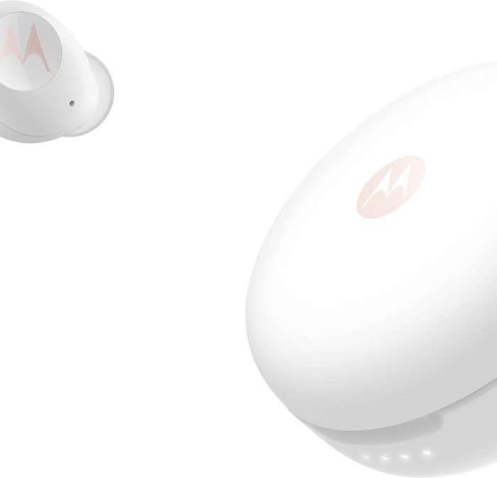 Motorola Vervebuds 250 SH063 - Draadloze Oordopjes - Waterdicht - White