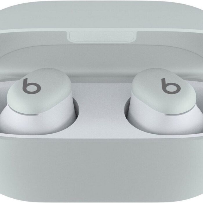 BEATS SOLO BUDS STORM GRAY