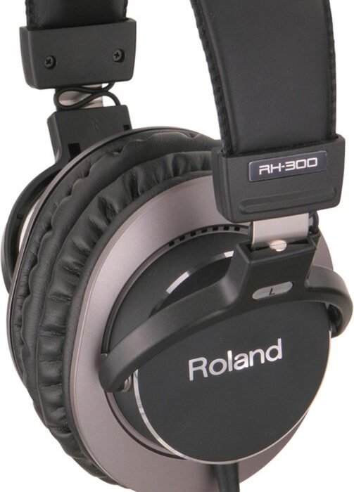Roland RH-300 - Hoofdtelefoon - zwart