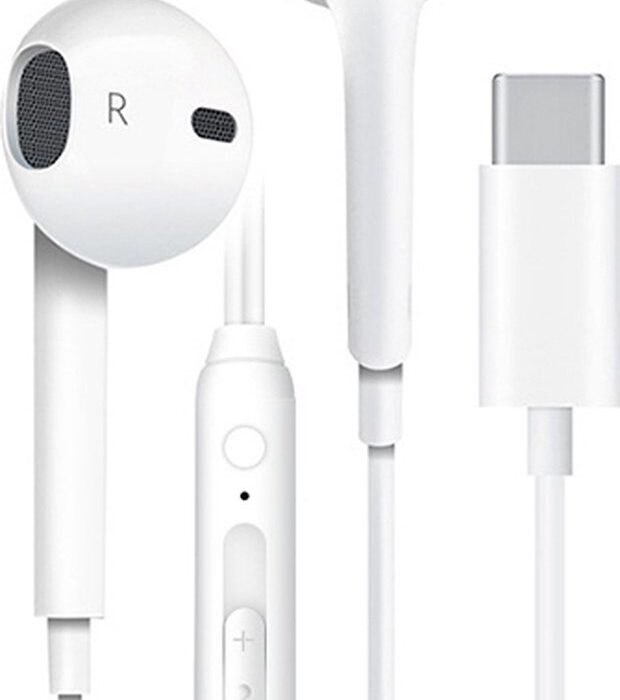 Provium - Oortjes met USB-C aansluiting - In-Ear Oordopjes met draad en microfoon - Headset geschikt voor o.a. Laptop en Telefoon - wit