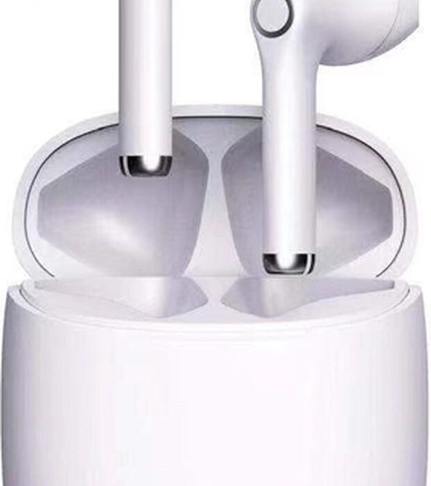 Volledig Draadloze Oordopjes - Dutch Design - Bluetooth 5.1 - Premium EarBuds - Bluetooth Oordopjes - Oortjes Draadloos