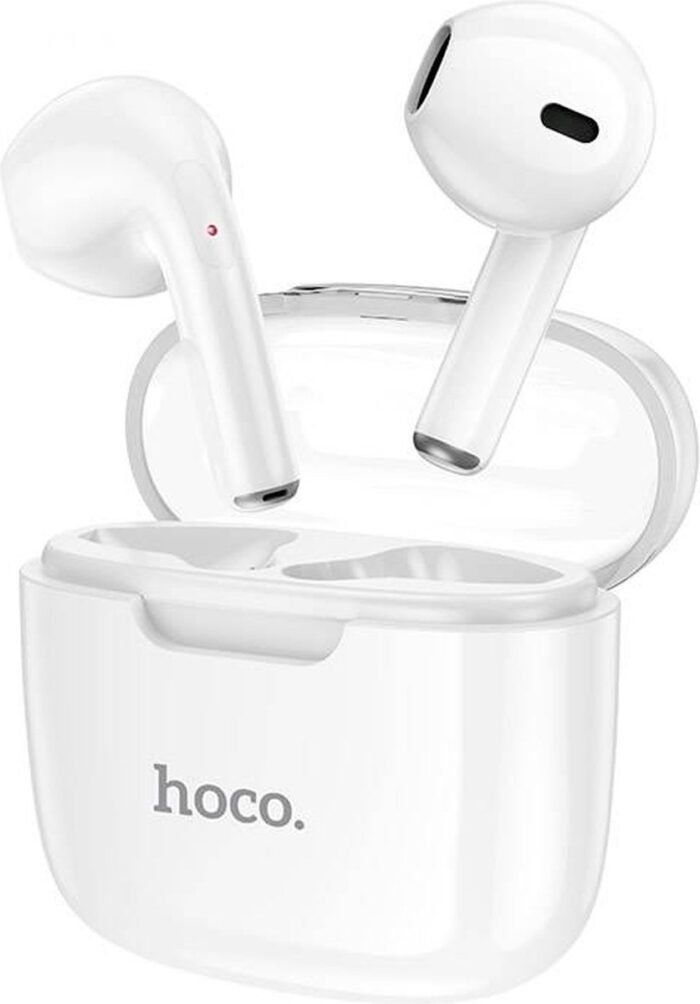Hoco TWS Draadloze Bluetooth Oordopjes in wit/kristallen oplaadbare case