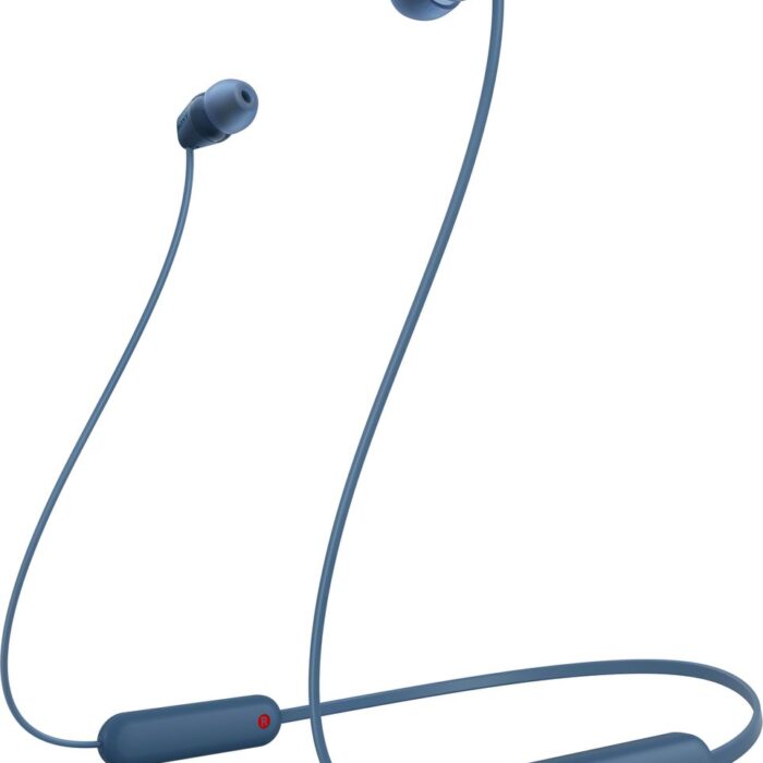 Sony WI-C100 - Draadloze oordopjes - Blauw