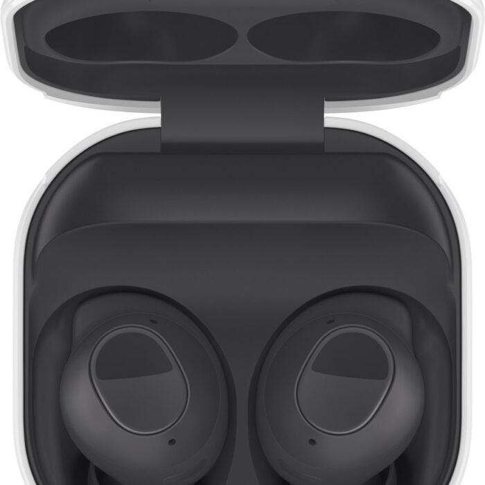 Samsung - Galaxy Buds FE - Graphite
