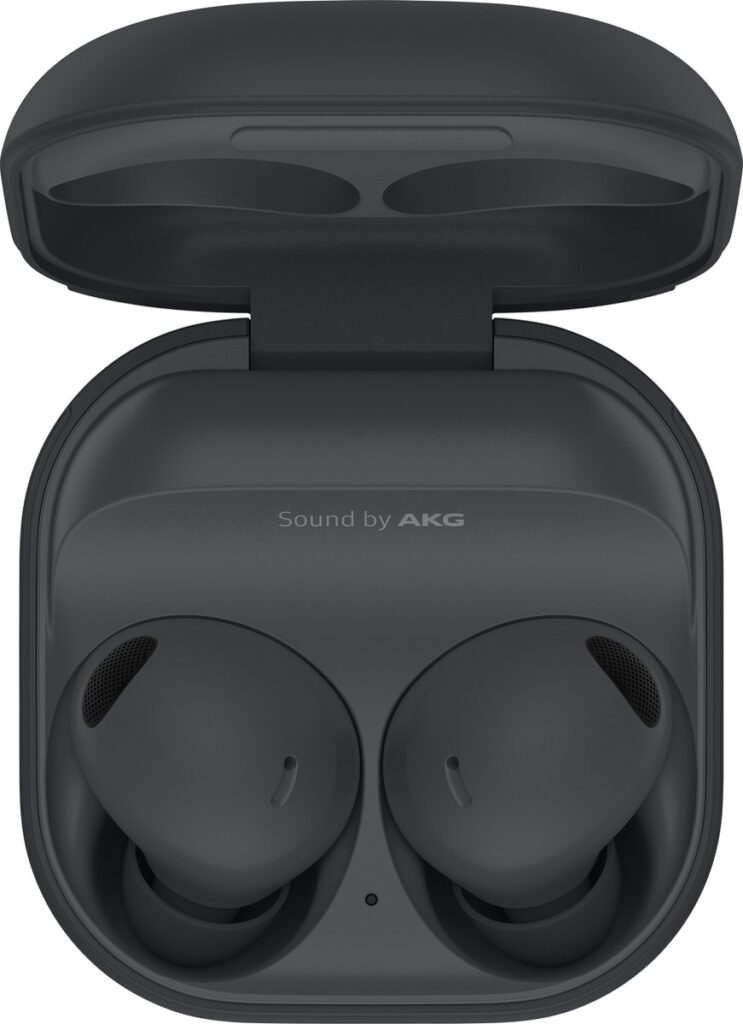 Samsung - Galaxy Buds 2 Pro - Grijs